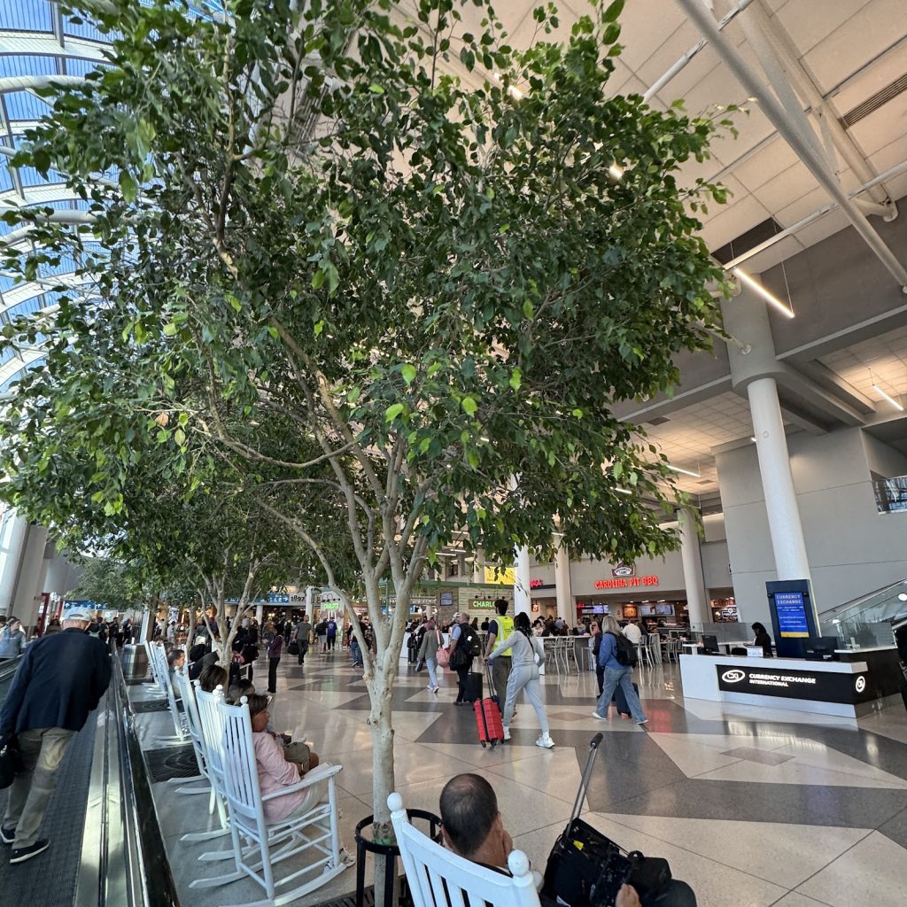 In this terminal, everyone is rushing to a destination. In the cockpit, you are the destination. Go from waiting at the gate to cleared for takeoff in months. Discover your wings with us.