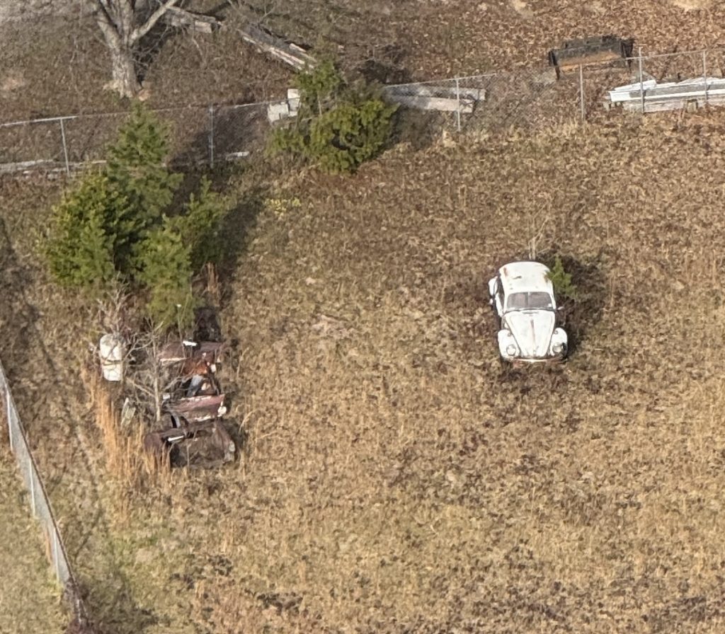 Feeling old and forgotten? Add something new to your life